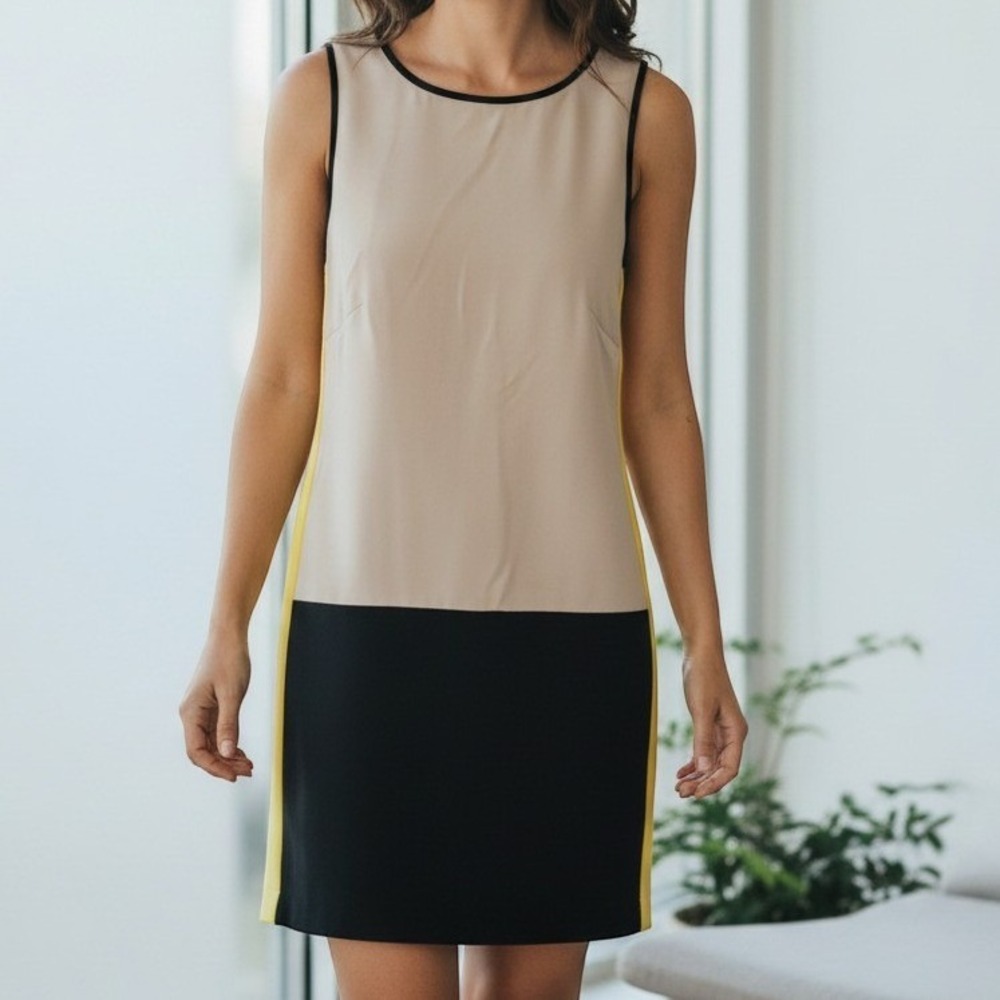 Ann Taylor Colorblock Sleeveless Shift Dress Modern Minimalist Small Tan Black